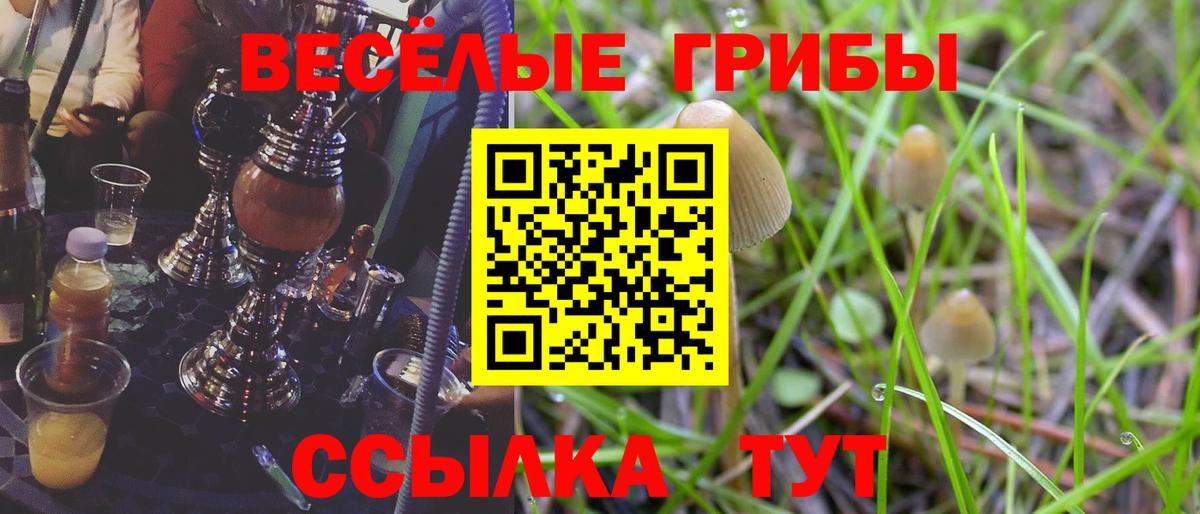 Феодосия  Галлюциногенные грибы мицелий  Галлюциногенные грибы прущие грибы  Вход с VPN 